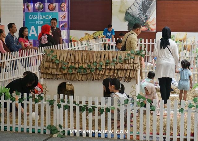 Keceriaan Saat Bermain di Taman Kelinci Plaza Medan Fair