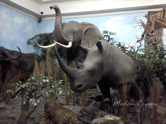 Galeri Rahmat (Rahmat International Wildlife Museum & Gallery)