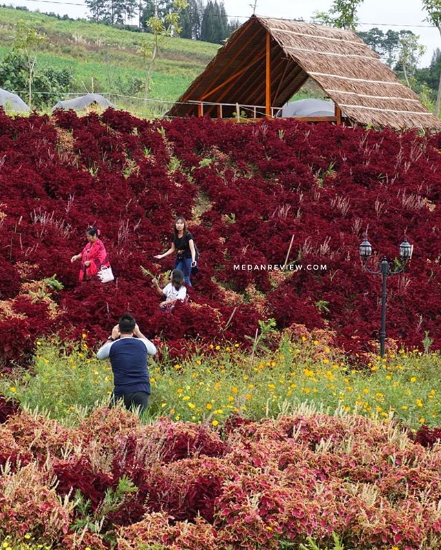 KEBUN EFI - Wisata Alam dan Edukasi (#6)